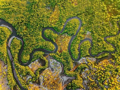 River meandering through mangroves. Alligator Creek, Queensland, Australia.