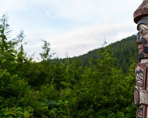 Great Bear Rainforest
