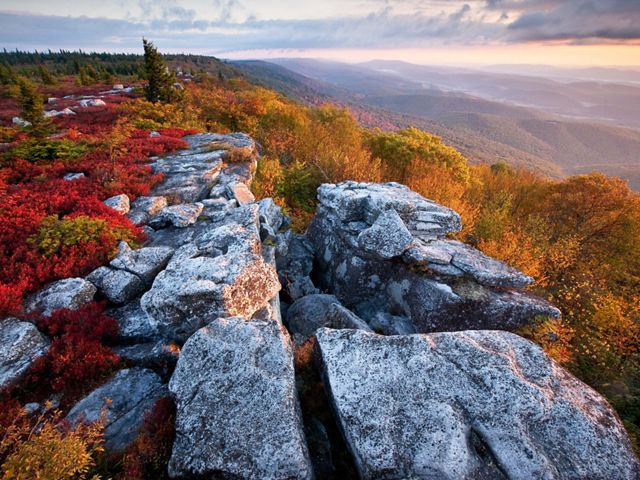 (ALL INTERNAL, LIMTED EXTERNAL USES)  Fall color at The Nature Conservancy's Bear Rocks Preserve in West Virginia.  High above Canaan Valley, in Dolly Sods, where a flat, windswept expanse of subalpine heath barrens opens up to the sky. Stunted red spruce, ancient bogs and forlorn boulders define this haunting landscape, where creatures typically found in more northern environs roam oblivious to their geologic isolation. The Nature ConservancyÕs 477-acre Bear Rocks Preserve is a cornerstone of this wonderfully diverse and complex ecosystem, which lies on a ridge crest that forms part of the Eastern Continental Divide.  PHOTO CREDIT: © Kent Mason   