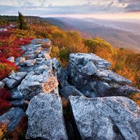 (ALL INTERNAL, LIMTED EXTERNAL USES)  Fall color at The Nature Conservancy's Bear Rocks Preserve in West Virginia.  High above Canaan Valley, in Dolly Sods, where a flat, windswept expanse of subalpine heath barrens opens up to the sky. Stunted red spruce, ancient bogs and forlorn boulders define this haunting landscape, where creatures typically found in more northern environs roam oblivious to their geologic isolation. The Nature ConservancyÕs 477-acre Bear Rocks Preserve is a cornerstone of this wonderfully diverse and complex ecosystem, which lies on a ridge crest that forms part of the Eastern Continental Divide.  PHOTO CREDIT: © Kent Mason   