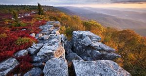 Fall color at The Nature Conservancy's Bear Rocks Preserve in West Virginia