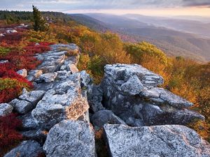 Fall color at The Nature Conservancy's Bear Rocks Preserve in West Virginia