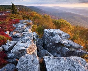 Fall color at The Nature Conservancy's Bear Rocks Preserve in West Virginia