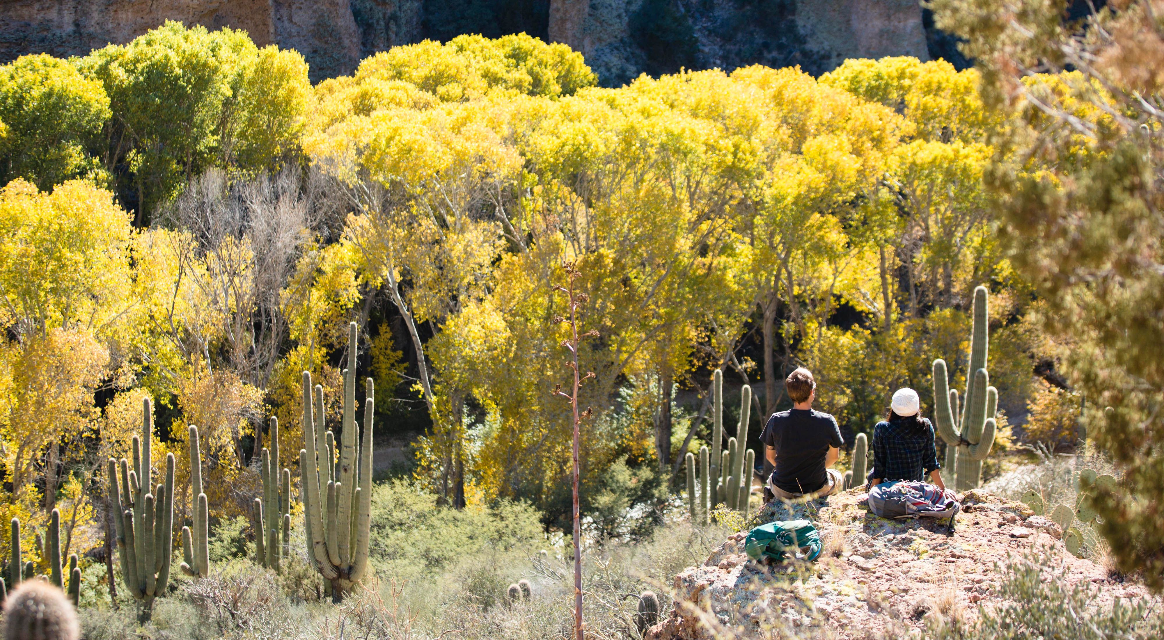 Hikers viewed from behind sitting on a slope surrounded by cactuses, trees and shrubs.