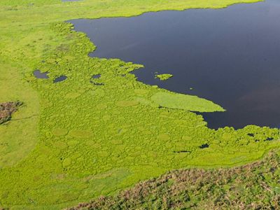 Aerial view of Marshland of Jaraba near the town of Santa Ana in Magdalena