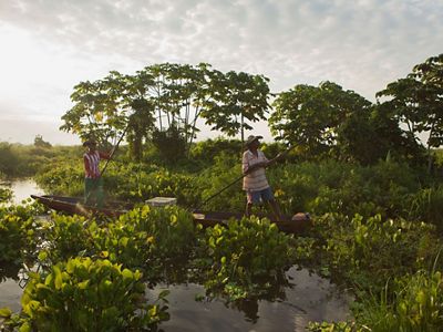 through the Marshland of Barbacoas in the mouth of the Magdalena River Basin in Antioquia, Colombia.