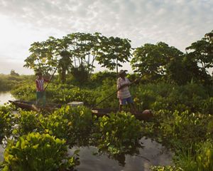 through the Marshland of Barbacoas in the mouth of the Magdalena River Basin in Antioquia, Colombia.