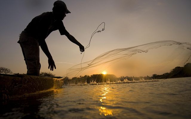 Local fishermen casting nets for fish in Colombia’s lower Magdalena River basin.