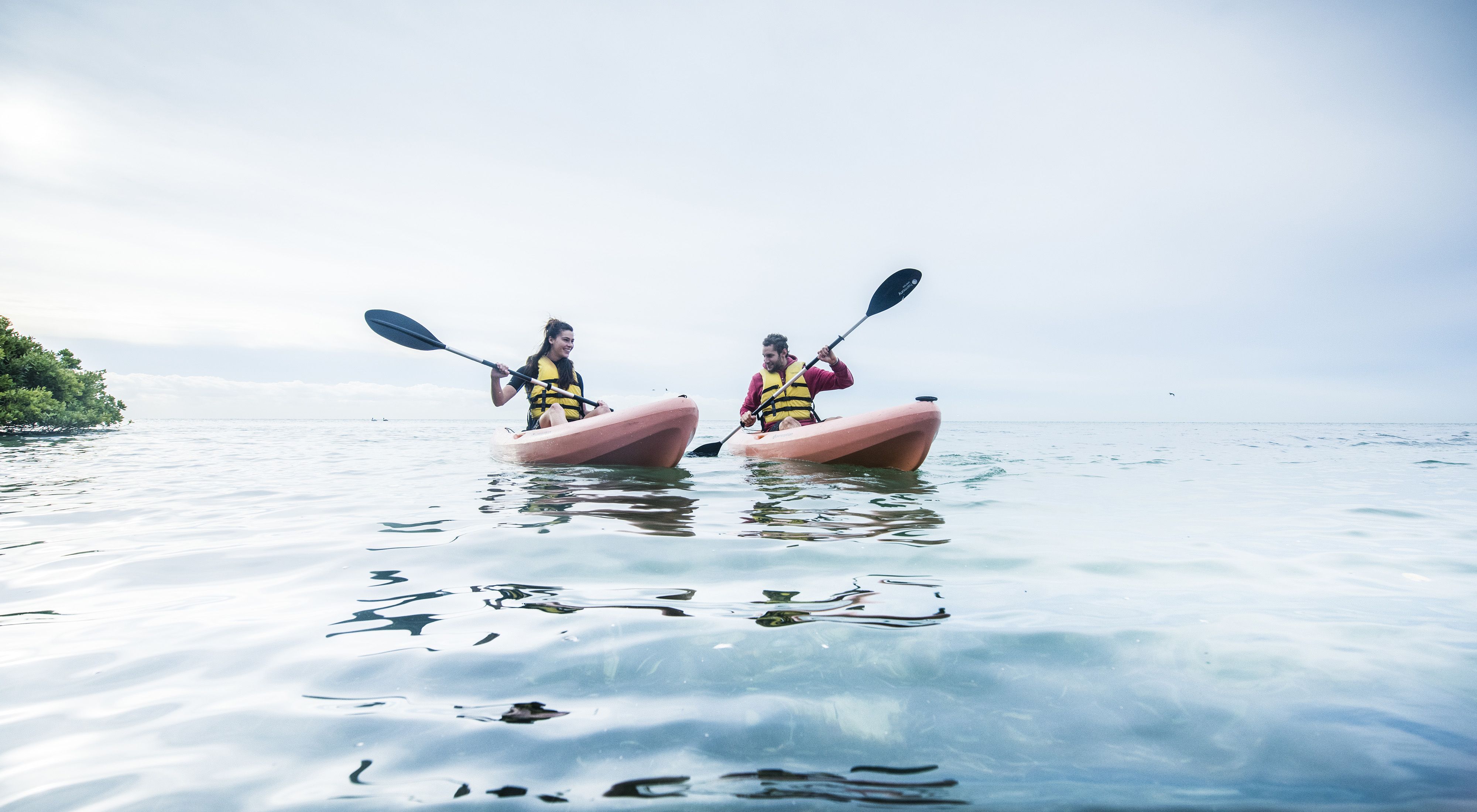 Two people paddle kayaks in water