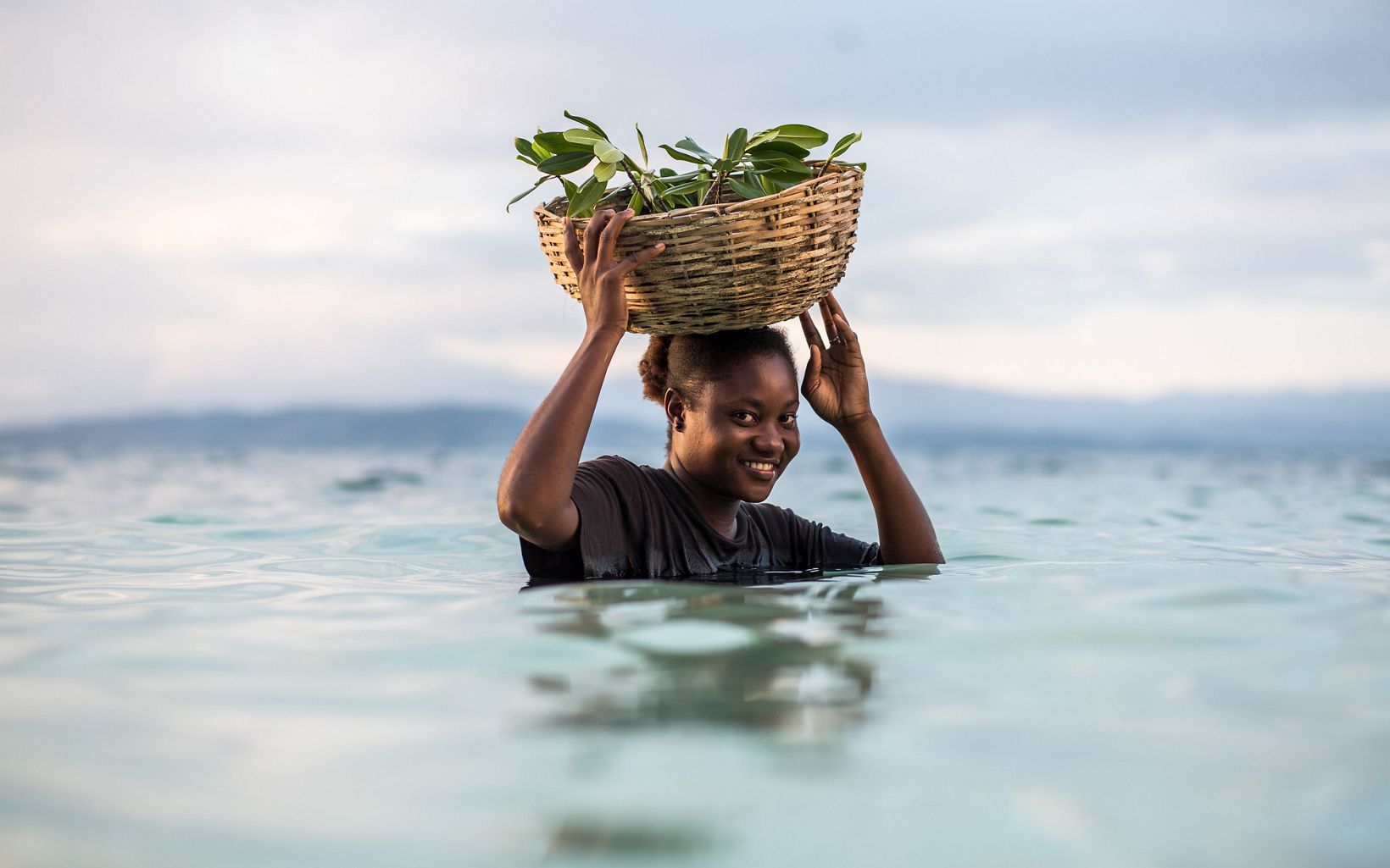 a woman stands in chest-deep water with a basket of mangrove seedlings on her head.