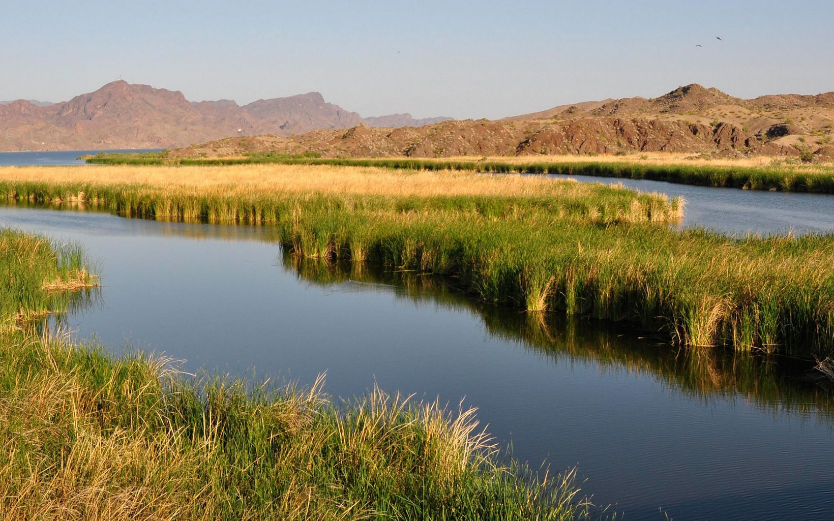 Bill Williams River In the Arizona desert, the Bill Williams River brings great diversity of plants and wildlife. © Tana Kappel/The Nature Conservancy