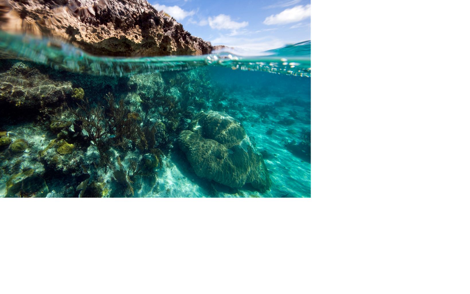 How Tourism Can Be Good for Coral Reefs