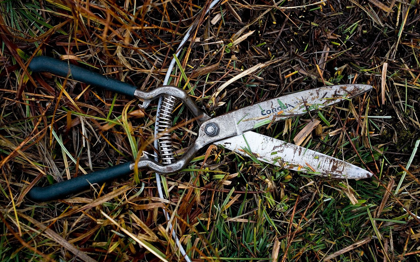 Close view of the scissors and hoop used for a residual dry matter measurement study, conducted by senior ecologist, Rich Reiner, and shown here in grasslands at Child's Meadow property, 1,440 acres of protected working ranch and nearly pristine mountain meadows that are home to the headwaters for Deer Creek and a variety of wildlife, located near the southern entrance of Lassen Volcanic National Park, northern California.  © Ian Shive - LIMITED INTERNAL RIGHTS (pay for use in TNC magazine, calendar, trade and non-conservancy related 3rd party use)