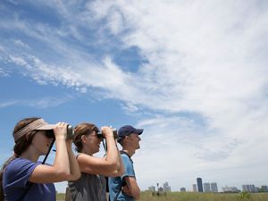 Three people in a field look in one direction. Two are using binoculars. A city is in the distance.