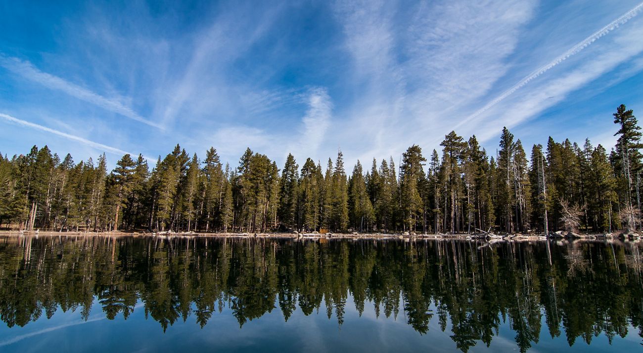 A lake surface reflects a blue sky and dense evergreen forest.