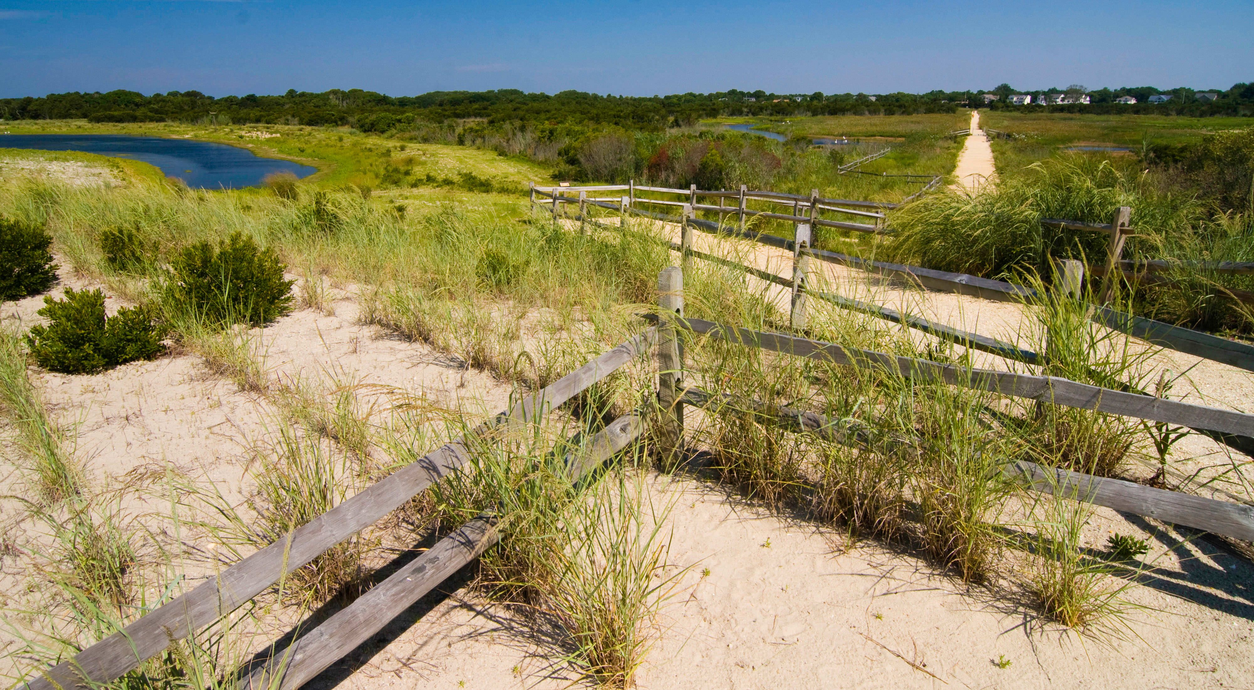The South Cape May Meadows. Wooden fencing separating areas of grassy sand dunes with trees and houses in the distance.