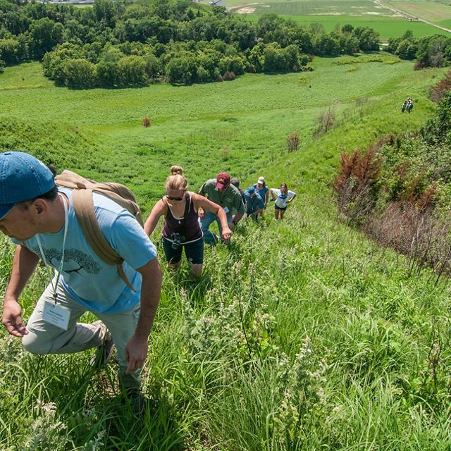 Several people hike up a steep green hill toward the camera.