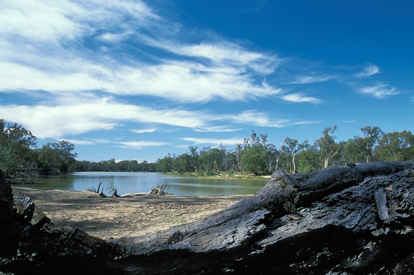 View of the Murray River in Australia