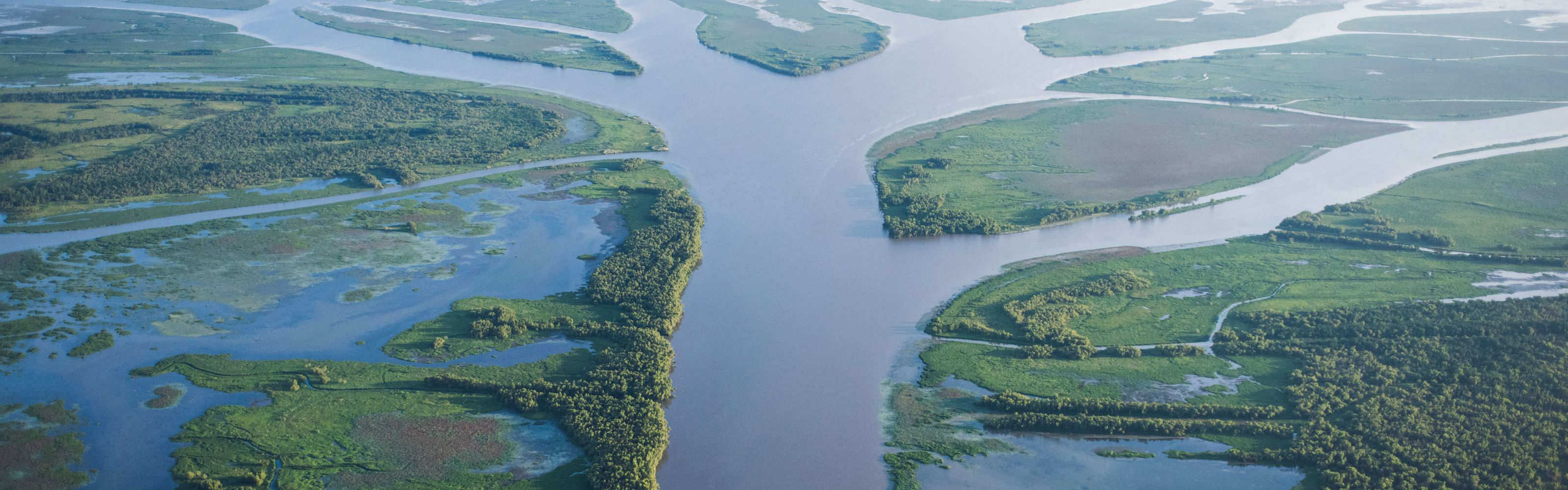 Aerial view of many canals winding through marshland of the Wax Lake Delta in Louisiana heading out to the Gulf of Mexico.