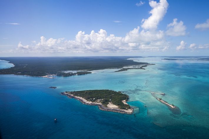 largest and least explored of the Bahamian islands, is home to the Andros Barrier Reef, the third largest coral ecosystem in the world, and the Andros West Side National Park is a jewel in the crown of the Bahamas park system. Over the past decade, the Conservancy has worked with the Bahamian government, partners and communities to protect Andros and other Bahamian islands and waters.
