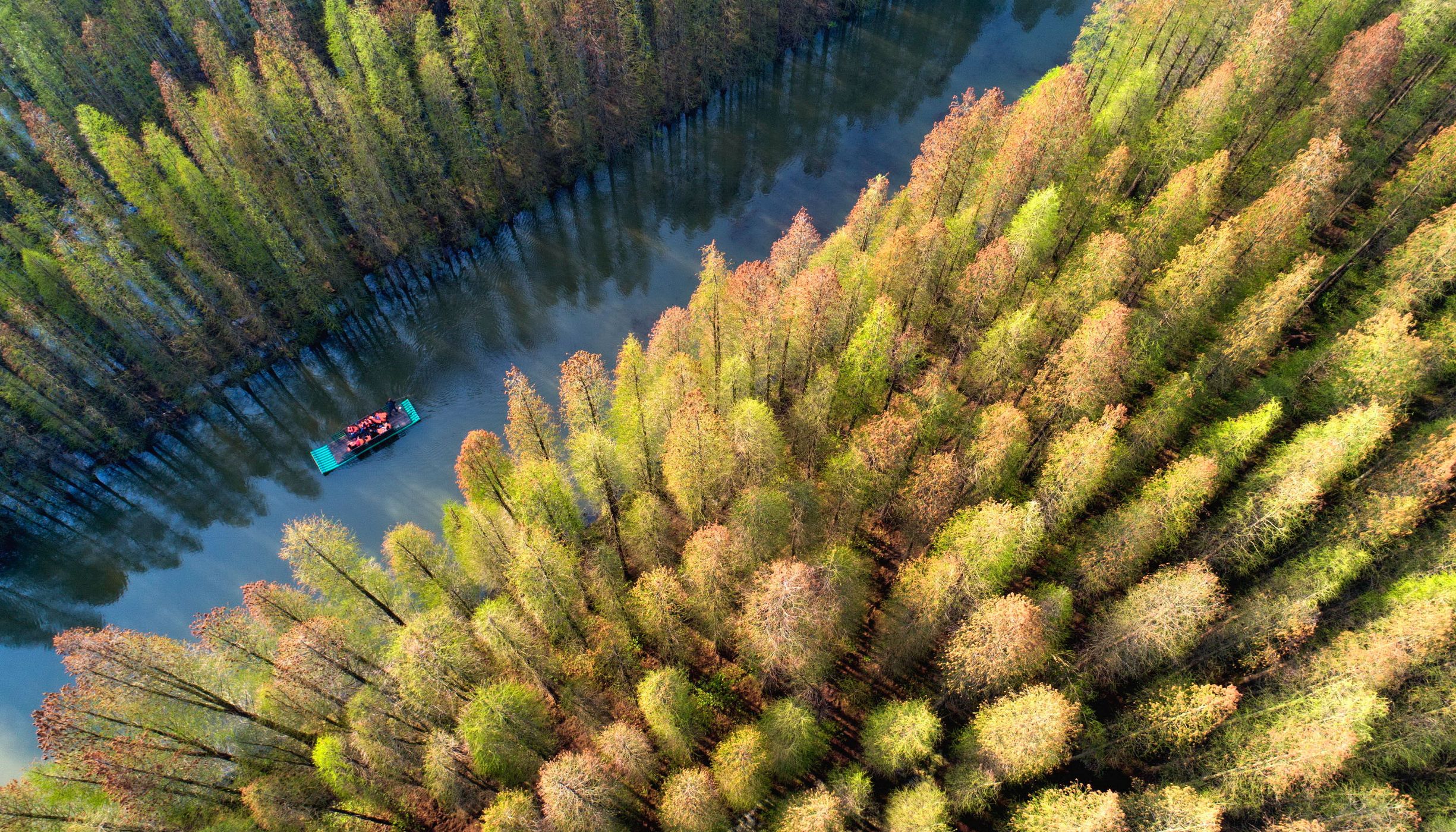 A boat travels down a river through the forest in China