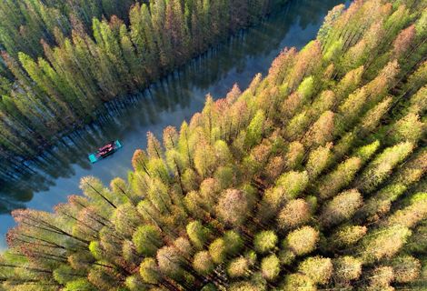A boat travels down a river through the forest in China
