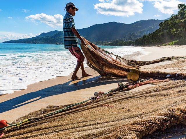 Mackrel fishermen fish along the shore with small boats and seine nets, trapping fish against the beach and hauling the catch up onto the sand, Seychelles.