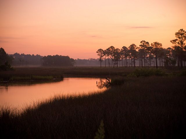 Gulf of Mexico coastal wetlands along Mobile Bay, Alabama.