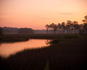 A pink sky frames river and surrounding forest.