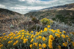 Santa Cruz Island Anniversary The Nature Conservancy