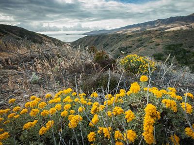 Twenty-five miles off the coast of southern California lies Santa Cruz Island, the largest of California’s 8 Channel Islands.