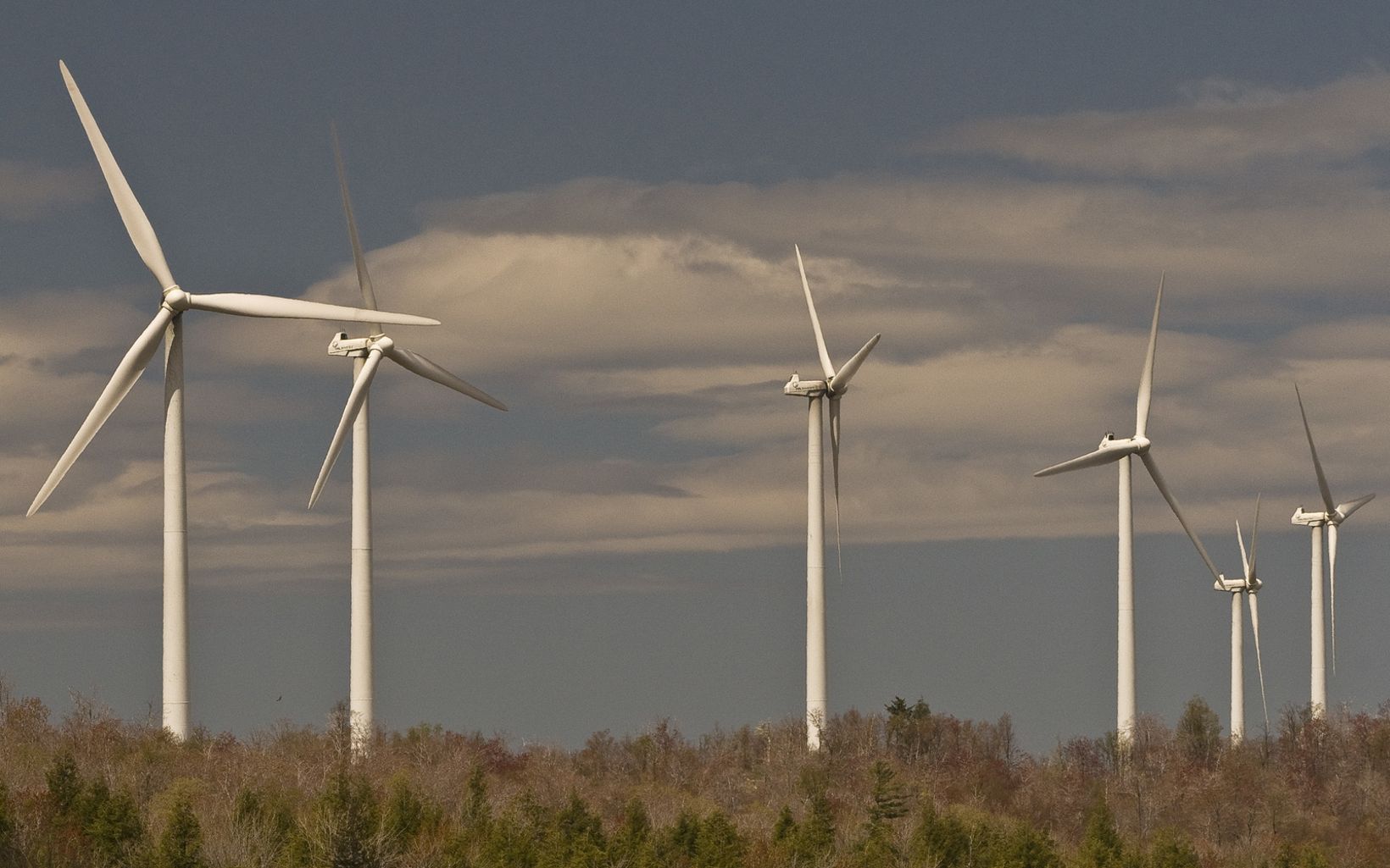 A line of wind turbines under a blue sky with billowing white clouds.