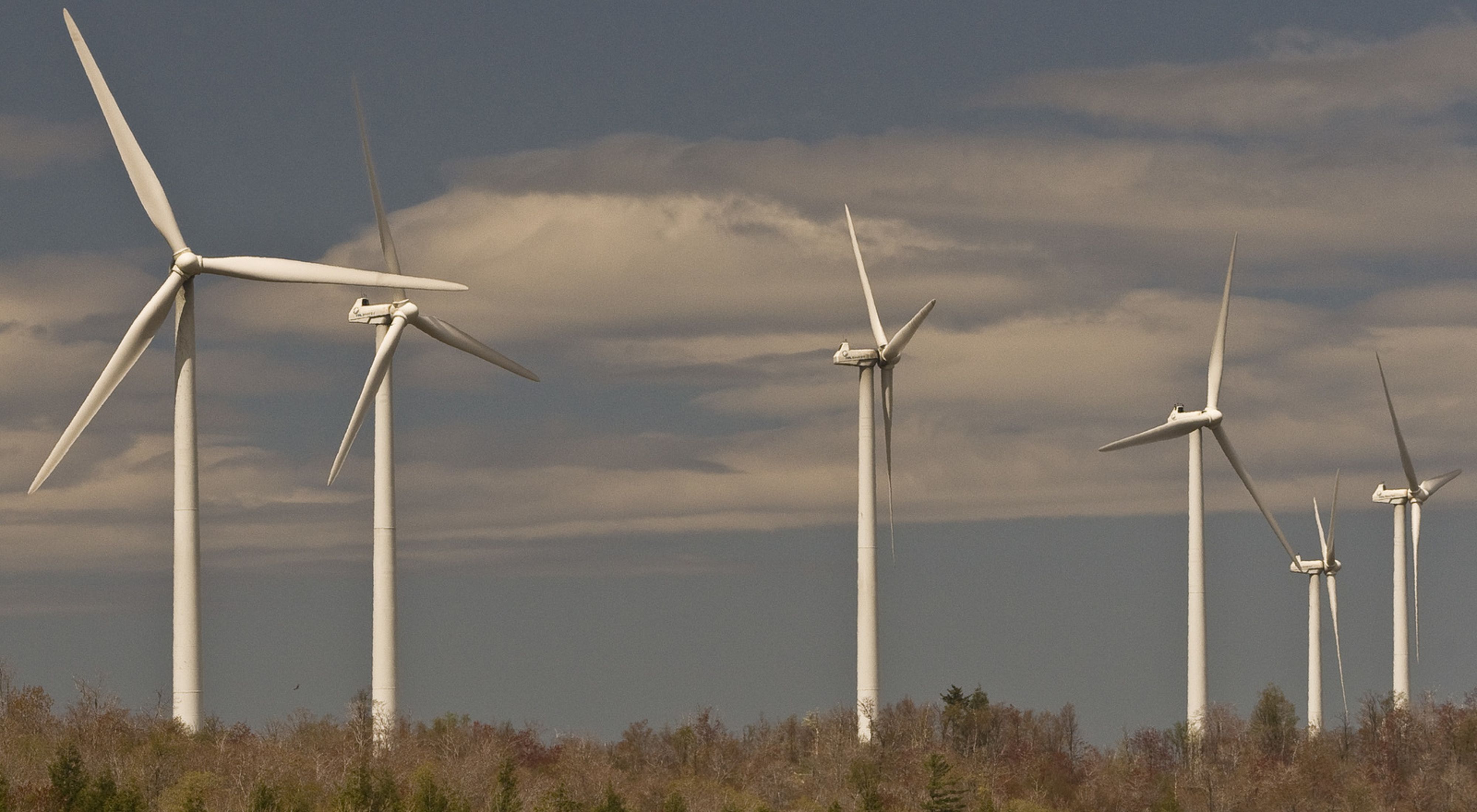 Wind power turbines atop a forest ridge in West Virginia. 