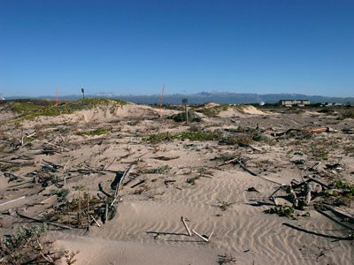 Northeastern view of the front dunes at Ormond Beach, a protected coastal wetlands area and bird nesting site in Ventura County, southern California.