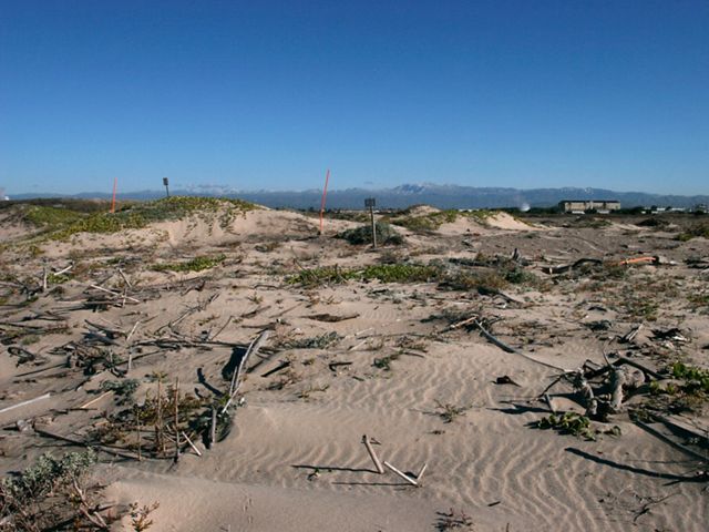 Northeastern view of the front dunes at Ormond Beach, a protected coastal wetlands area and bird nesting site in Ventura County, southern California.     