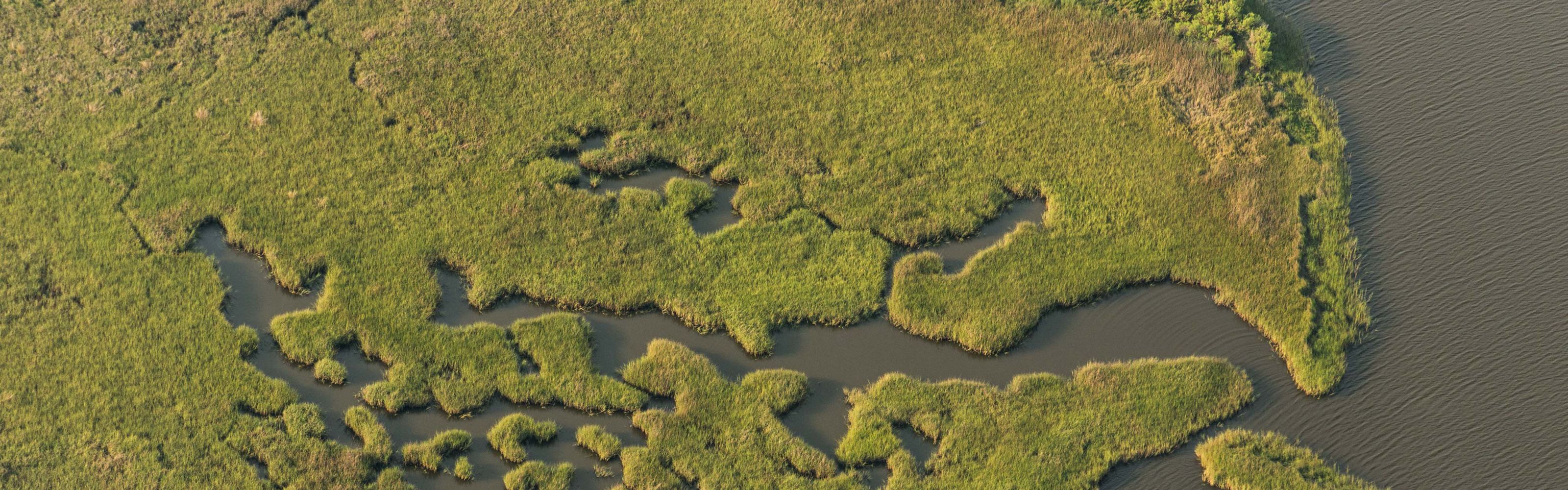 Aerial view of green marshland near Grand Bayou, Louisiana. 