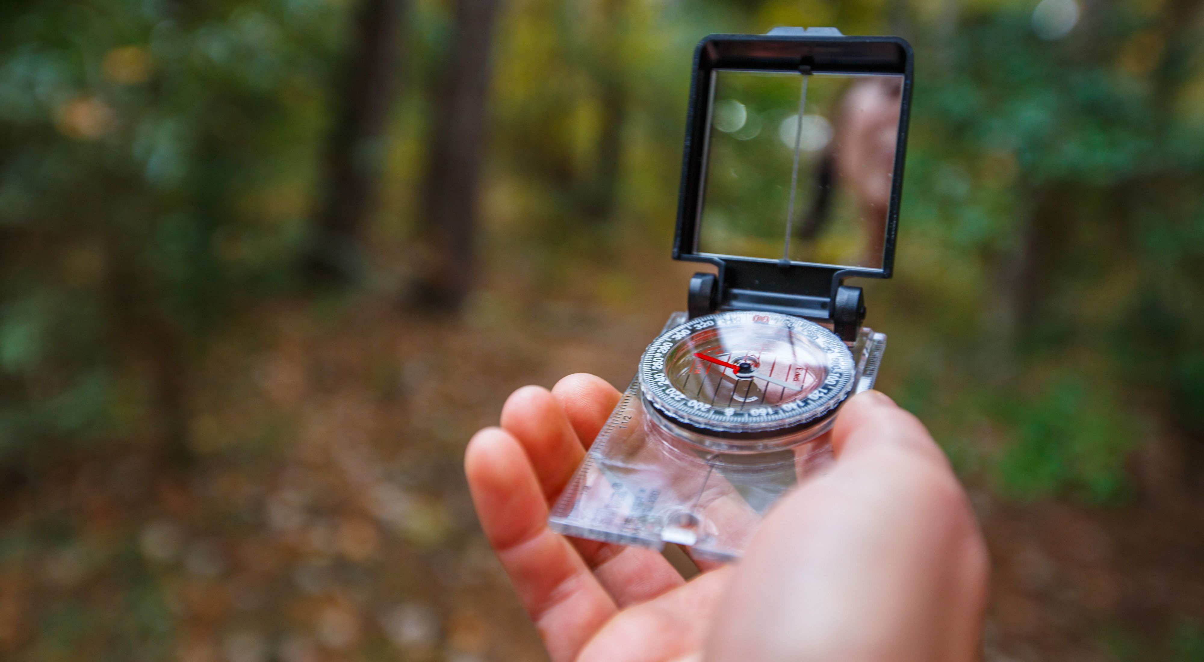 Navigating by Compass in a Forest