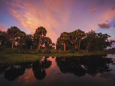 Sunset illuminates the wetlands along Lykes Brothers Ranch near Palmdale, Florida.