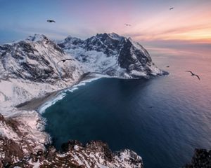 Snow-covered mountain surrounded by ocean and shorebirds