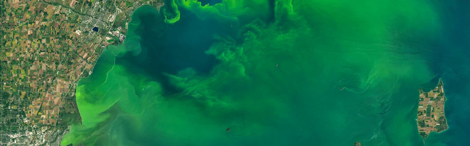 Satelite image showing algal bloom on a lake.