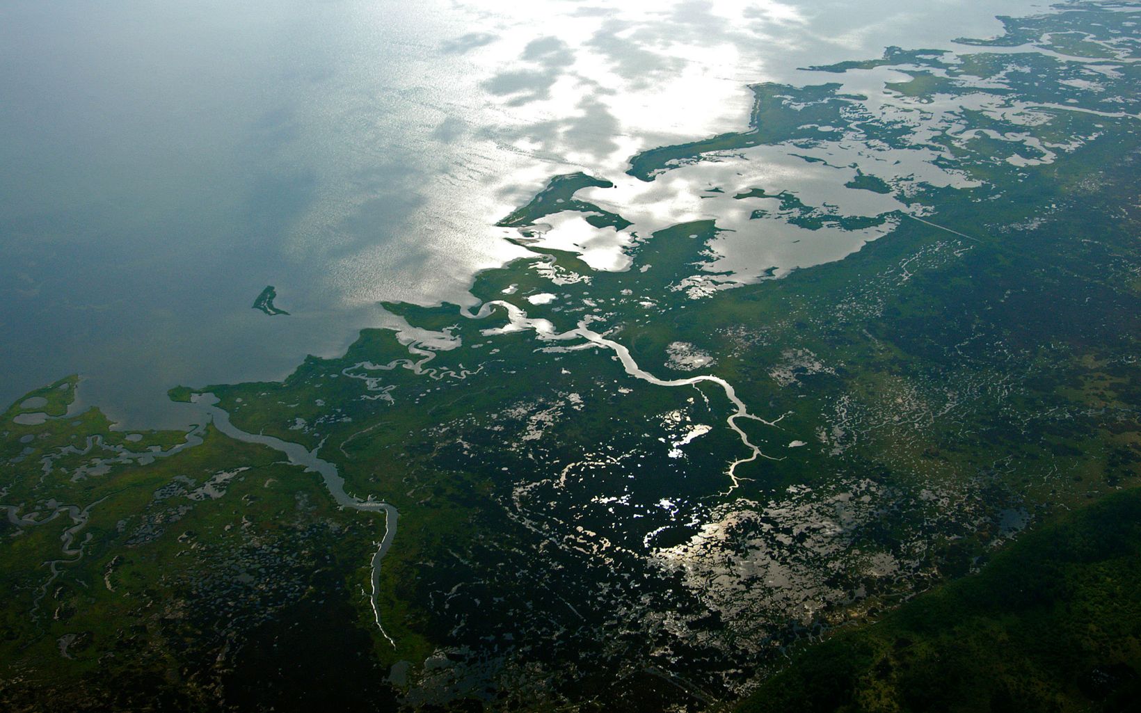 An aerial photo shows intricate pattern of coastal wetlands meeting the open water of the Chesapeake Bay.