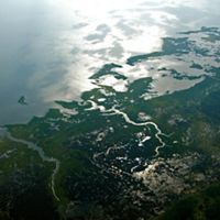 aerial view of a wetland
