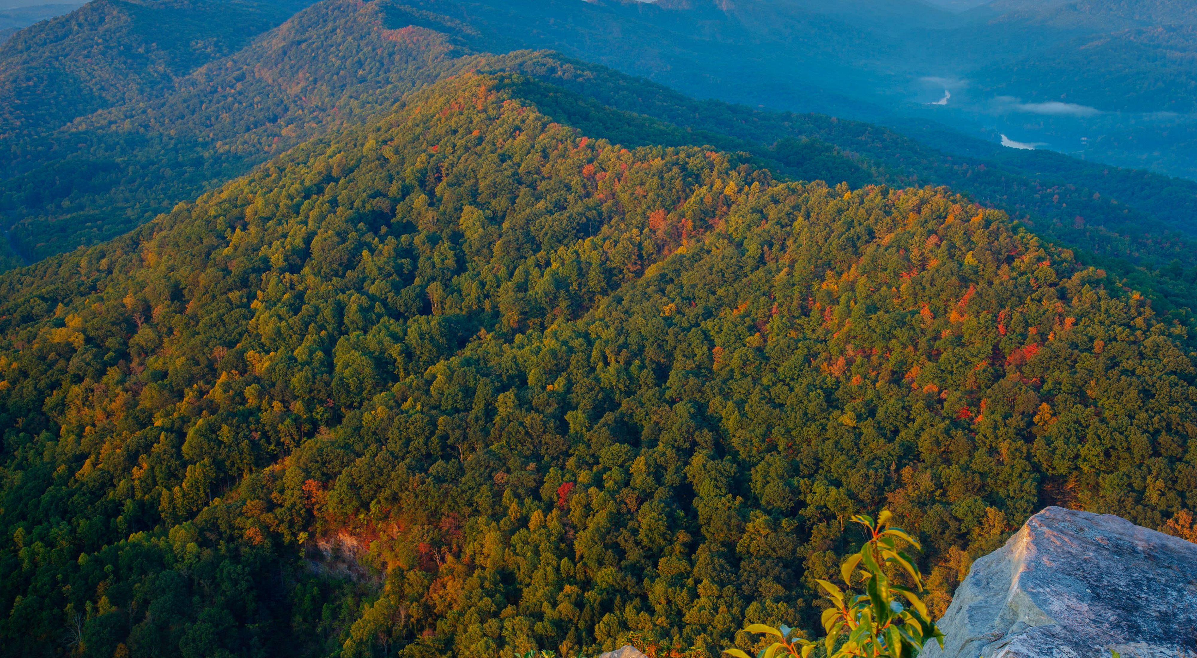 Aerial view of a steep moutain ridge that stretches to the horizon. The mountains are covered in green forests with patches of orange from fall foliage beginning to change color.