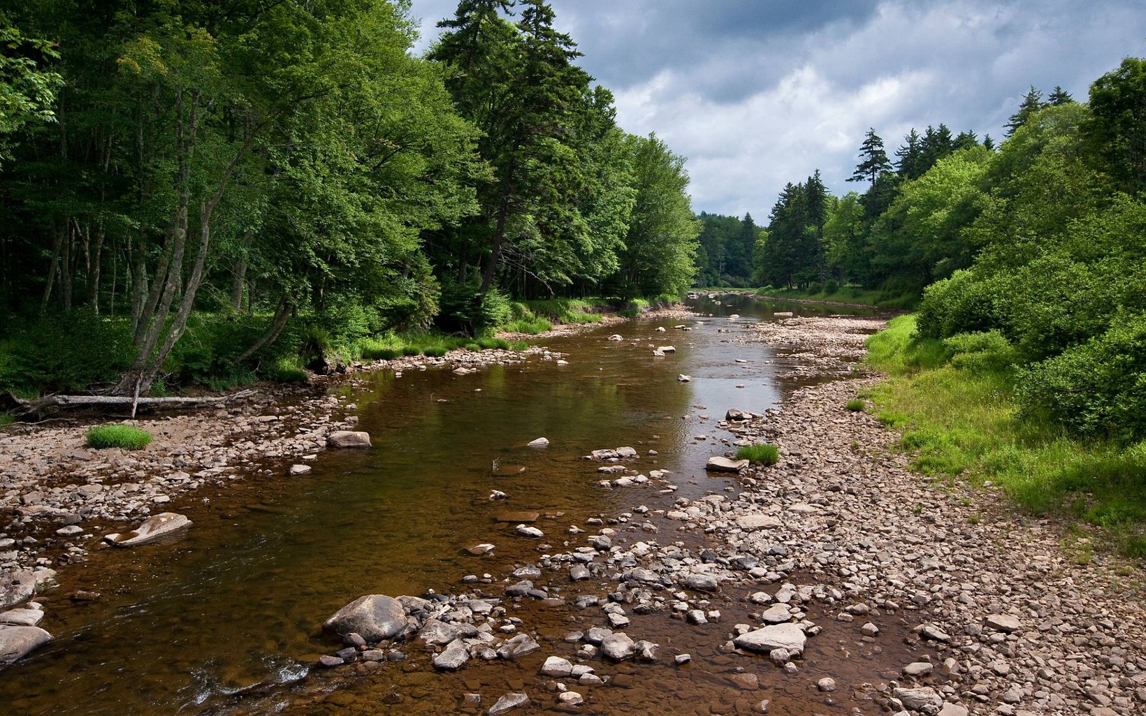 
                
                  Shavers Fork The Upper Shavers Fork Preserve is located along the banks of the Cheat River at the center of the 40-mile long high elevation watershed that is the heart WV's spruce forest.
                  © Kent Mason
                
              
