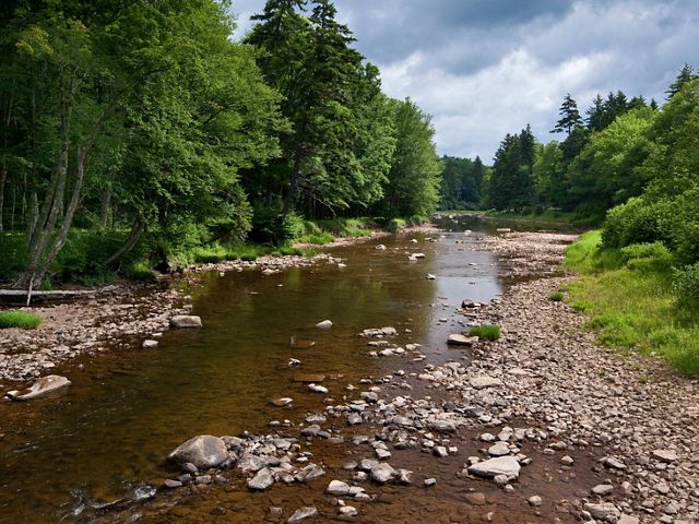 The Upper Shavers Fork Preserve is located along the banks of the Cheat River at the center of the 40-mile long high elevation watershed that is the heart WV's spruce forest.