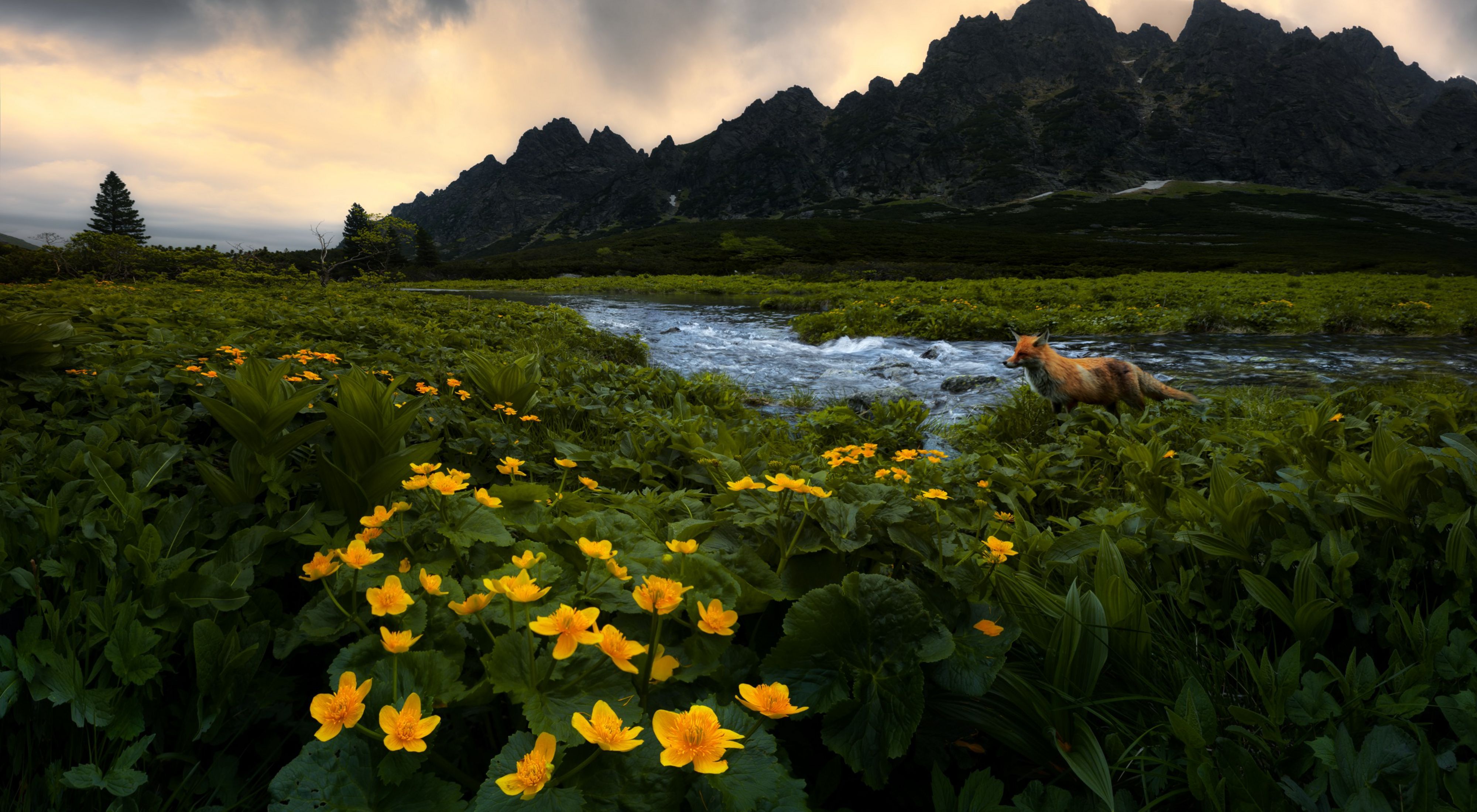en el Parque Nacional de los High Tatras, Eslovaquia.