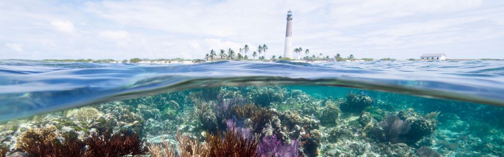 An image showing coral reef under water and a tall lighthouse on an island in the distance above water.