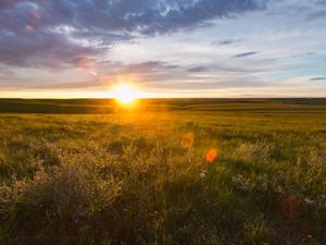 Sunsetting at Tallgrass Prairie National Preserve near Strong City, Kansas. 