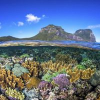 A split view of coral reefs under the water and mountains of Lord Howe Island visible in the distance.