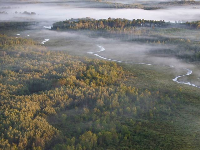 Aerial view of Split Hand Creek in the Mississippi River's headwaters area.